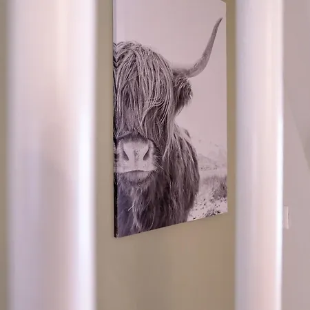 Waterhill's Bed Daire