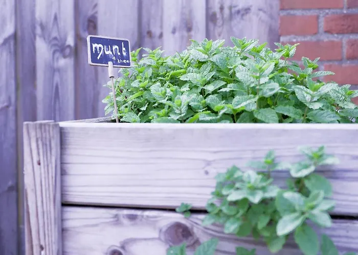 Waterhill's Bed * Dinteloord